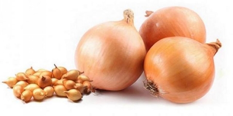 Kada saditi set luka na uralu